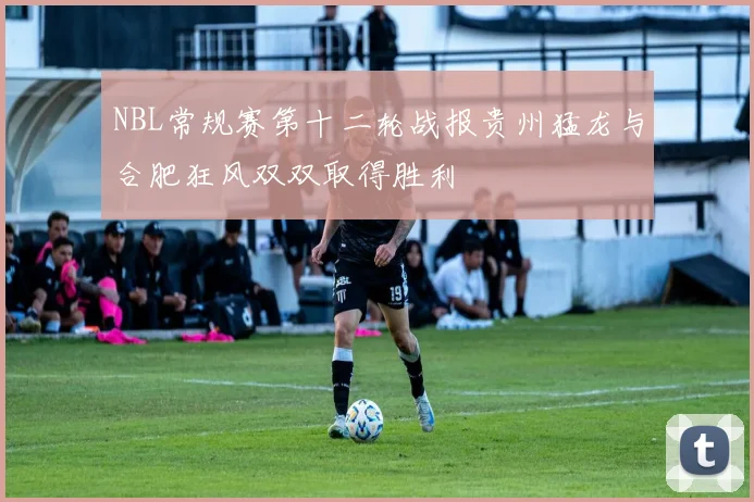 NBL常规赛第十二轮战报贵州猛龙与合肥狂风双双取得胜利