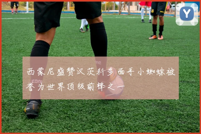 西蒙尼盛赞汉茨科多面手小蜘蛛被誉为世界顶级前锋之一